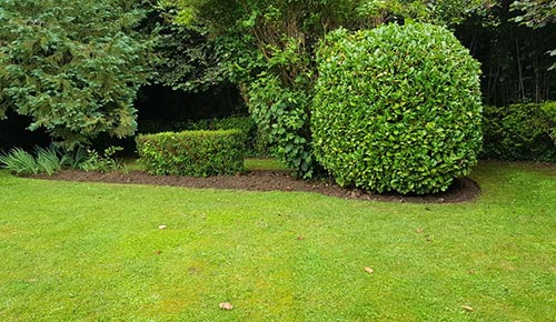 Création de jardin à Saint-Pol-sur-Ternoise, Abbeville