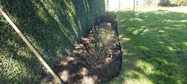 Création et plantation de jardin à Saint-Pol-sur-Ternoise, Abbeville