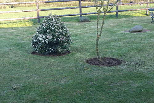 Création et plantation de jardin à Saint-Pol-sur-Ternoise, Abbeville