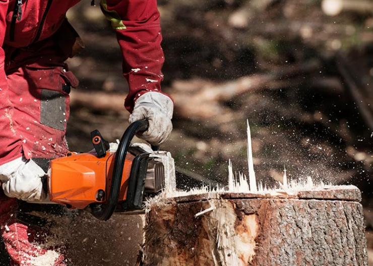 
											Élagage et abattage des arbres à Saint-Pol-sur-Ternoise